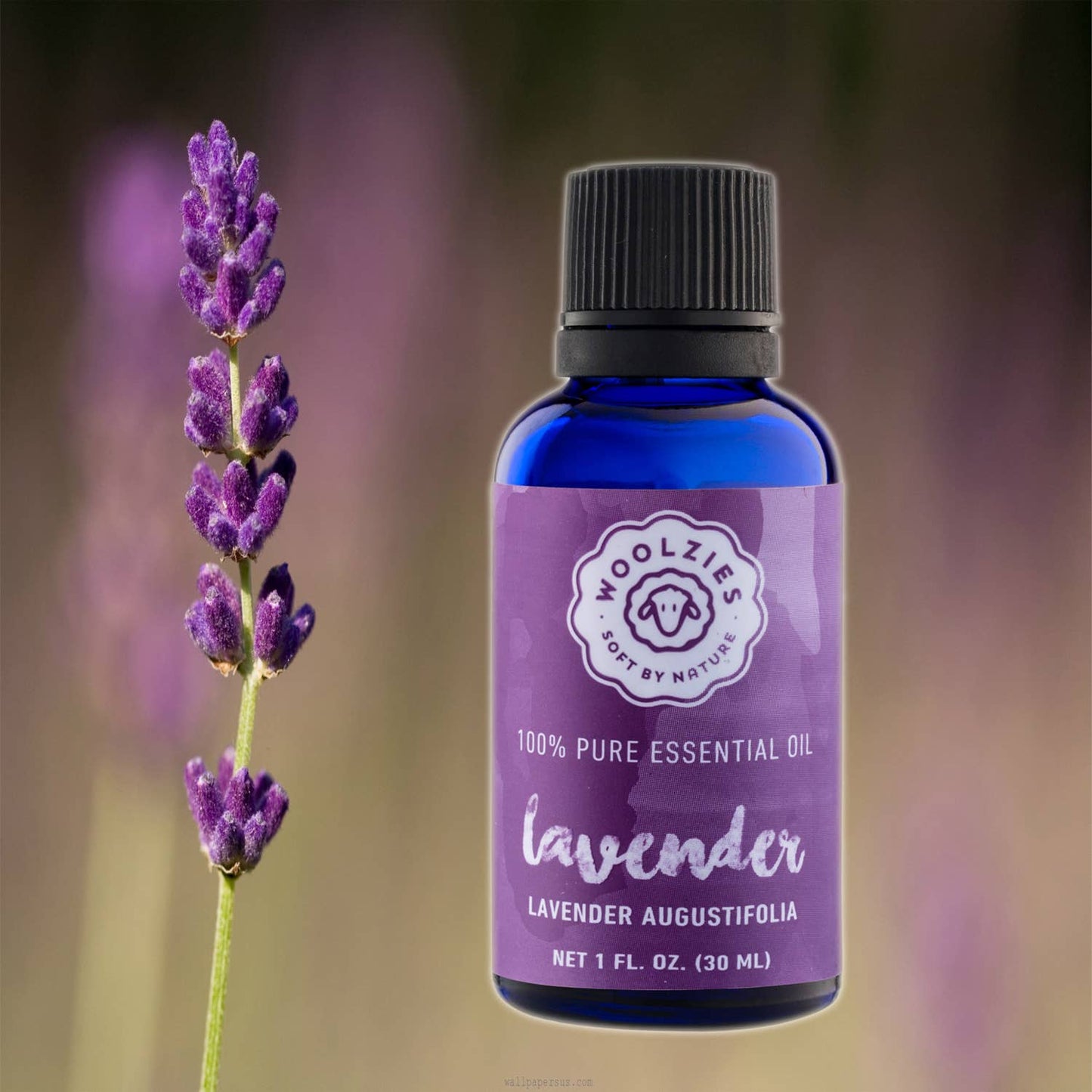 Lavender Essential Oil: 4oz