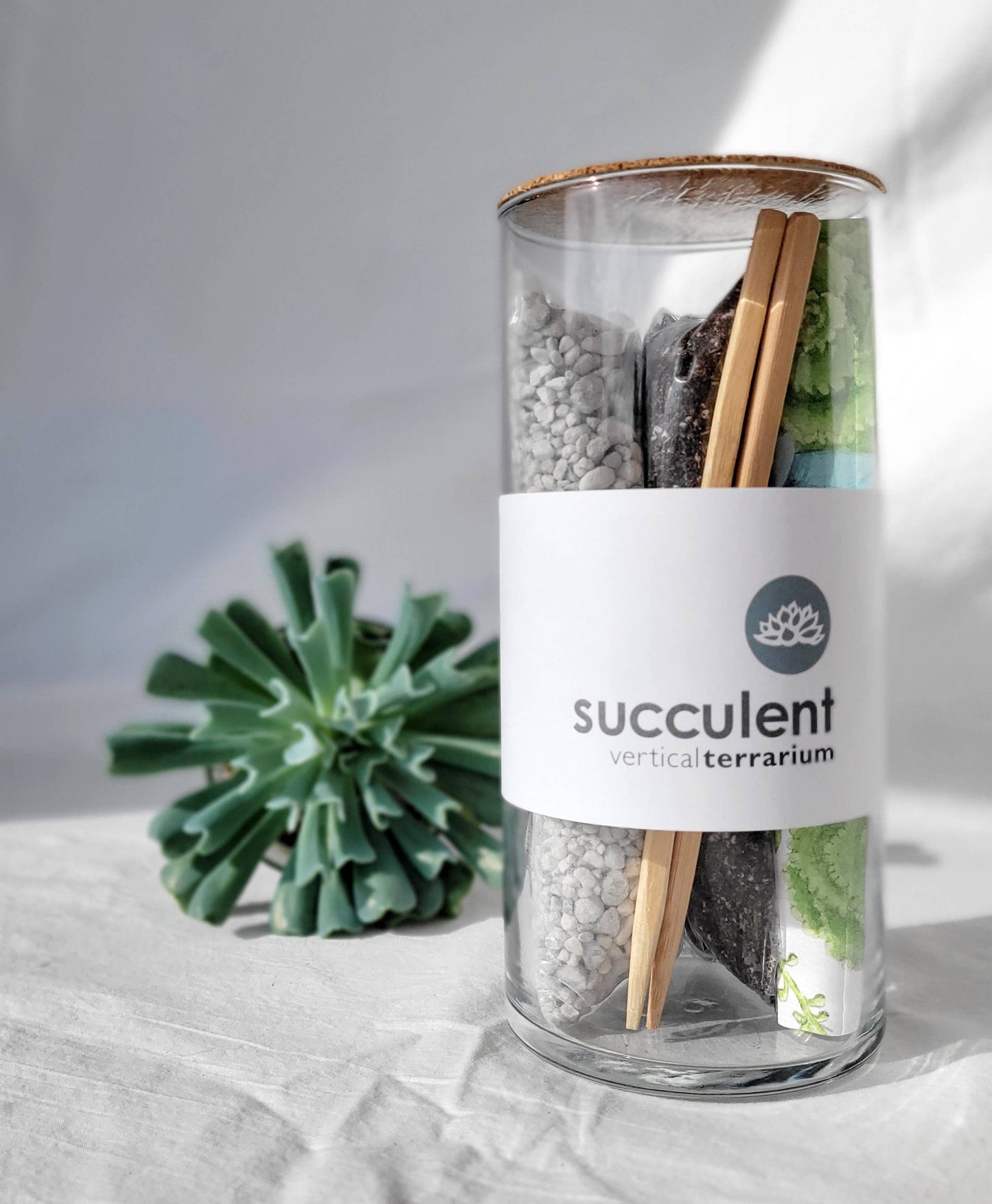 Succulent Terrarium | Corporate Gift idea | Welcome Gift: Vertical Terrarium